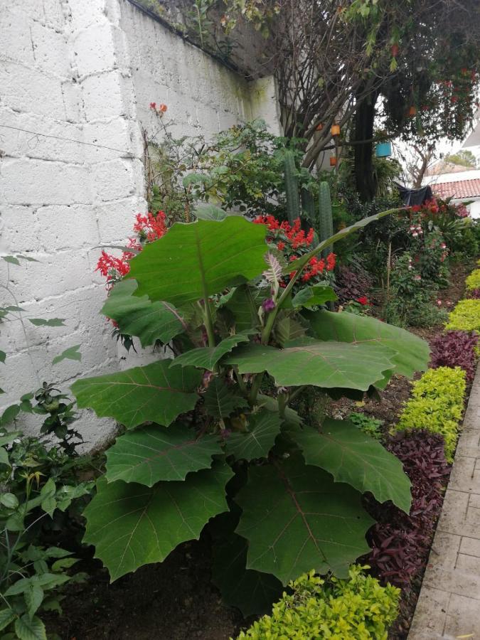 Casatodosantos Bed & Breakfast Cuenca Exterior photo